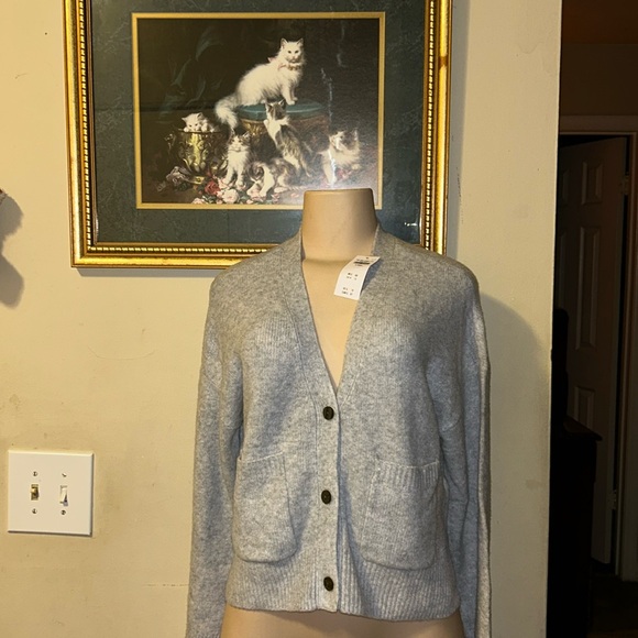 Abercrombie & Fitch Gray Wool Blend
Cardigan Size XS - Picture 2 of 11